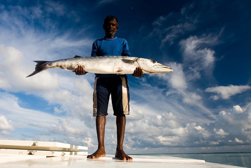 تصاویر | دنیای رنگارنگ ماهیگیران در آسیا